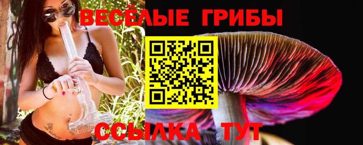 Десногорск  где можно купить   Вход с VPN  Псилоцибиновые грибы GOLDEN TEACHER 