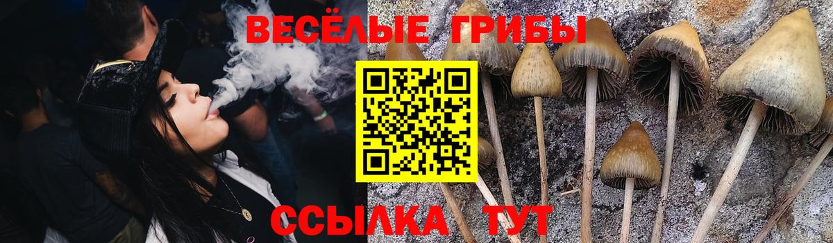 Галлюциногенные грибы GOLDEN TEACHER Десногорск
